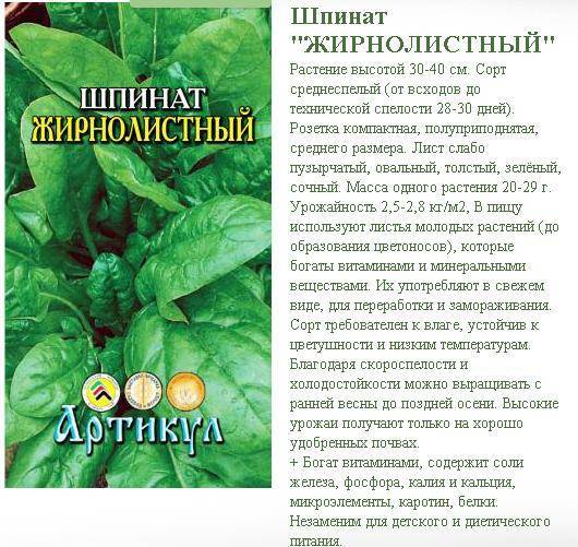 Можно ли щавель при грудном вскармливании?