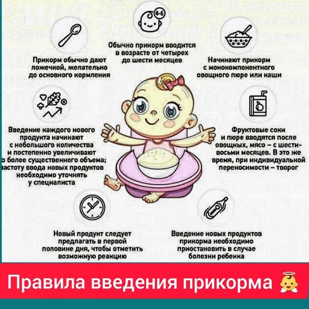 Правильное введение прикорма ребёнку
