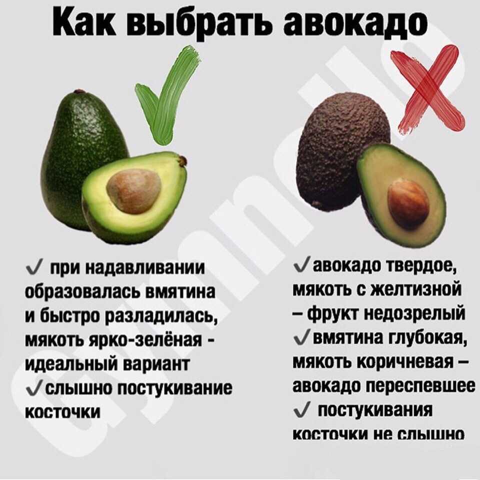 Авокадо кормящей маме. авокадо и грудное вскармливание. как правильно ввести авокадо в рацион кормящей мамы