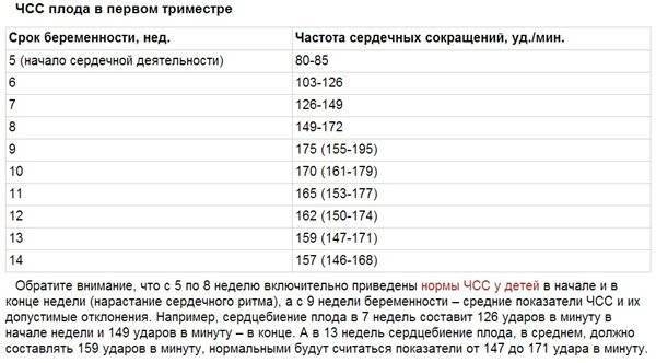 Пульс в разных триместрах беременности: нормы, причины высоких и низких значений, лечение беременных
