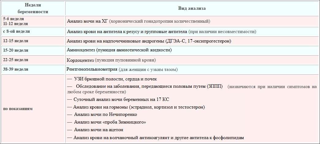 Постановка на учет по беременности: какие обследования нужно пройти