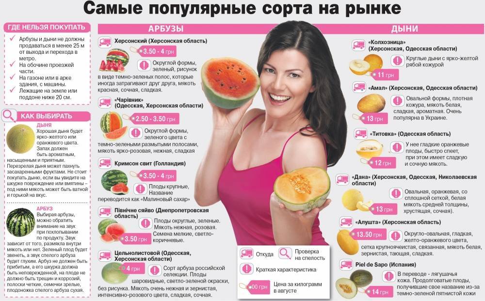Можно ли беременным дыню, в чем ее польза и вред?
