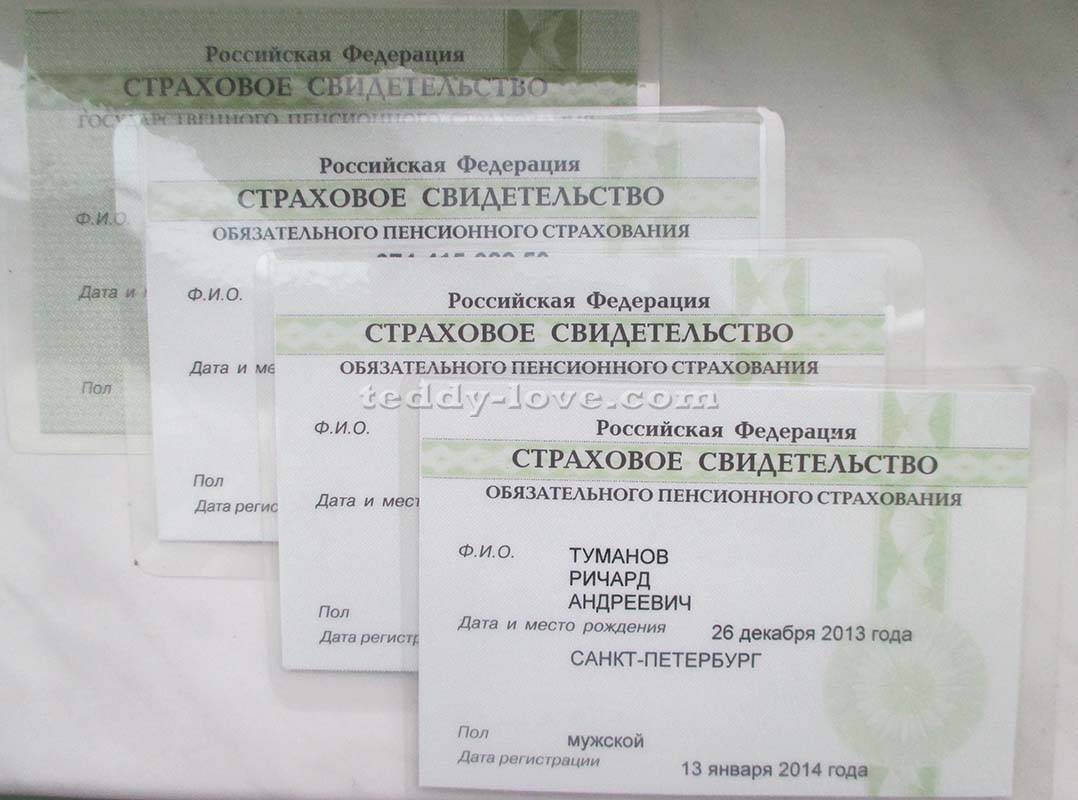 Как получить снилс на новорожденного ребенка