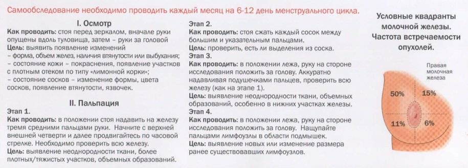 Уплотнение в груди: причины шишка в грудной железе, диагностика и лечение, если болит при нажатии, что делать | клиники «евроонко»
