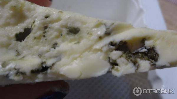 Сыр для кормящей мамы – особенности выбора и употребления