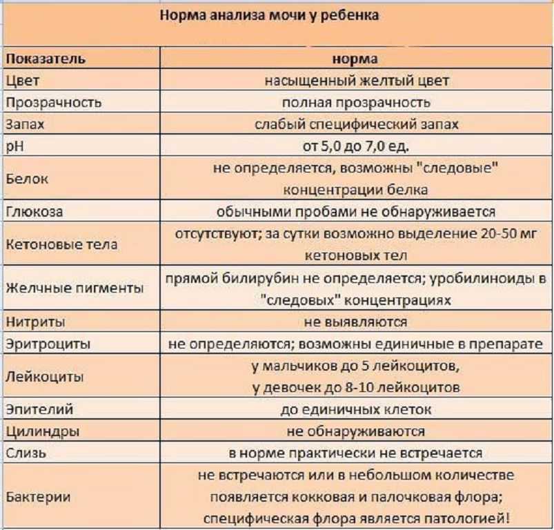 Общий анализ мочи у детей: нормы и патологии, расшифровка показателей