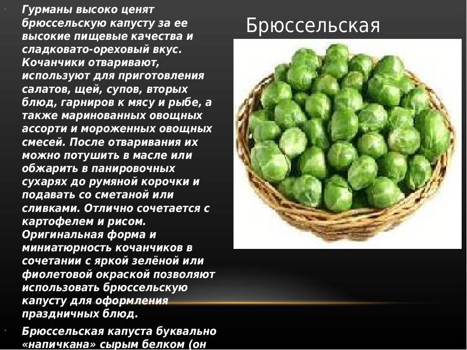 Брюссельская капуста польза и вред, как растет, состав, калорийность