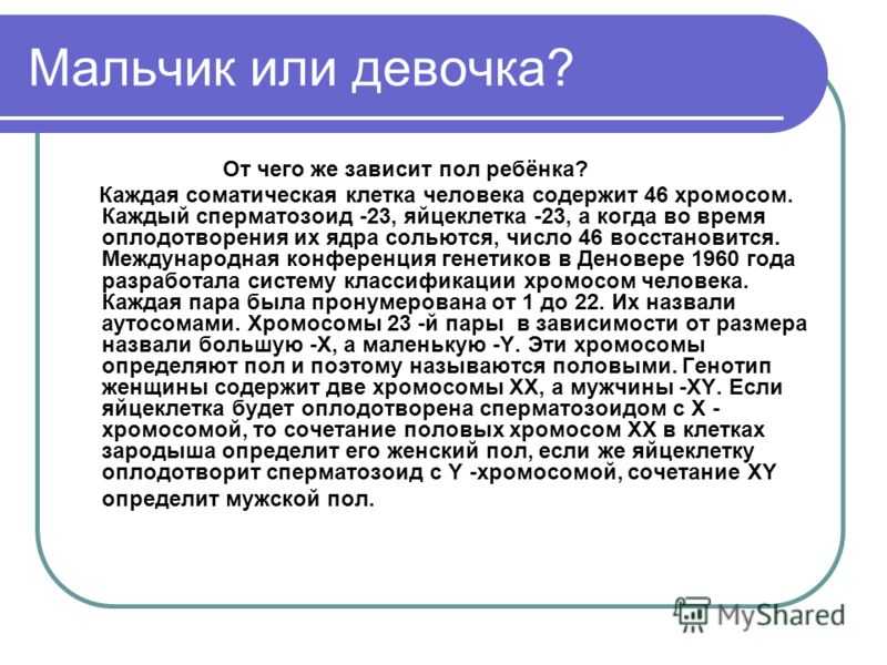 От чего зависит пол ребенка - определение пола ребенка