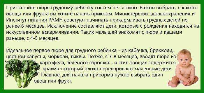 Прикорм ребенка: брокколи