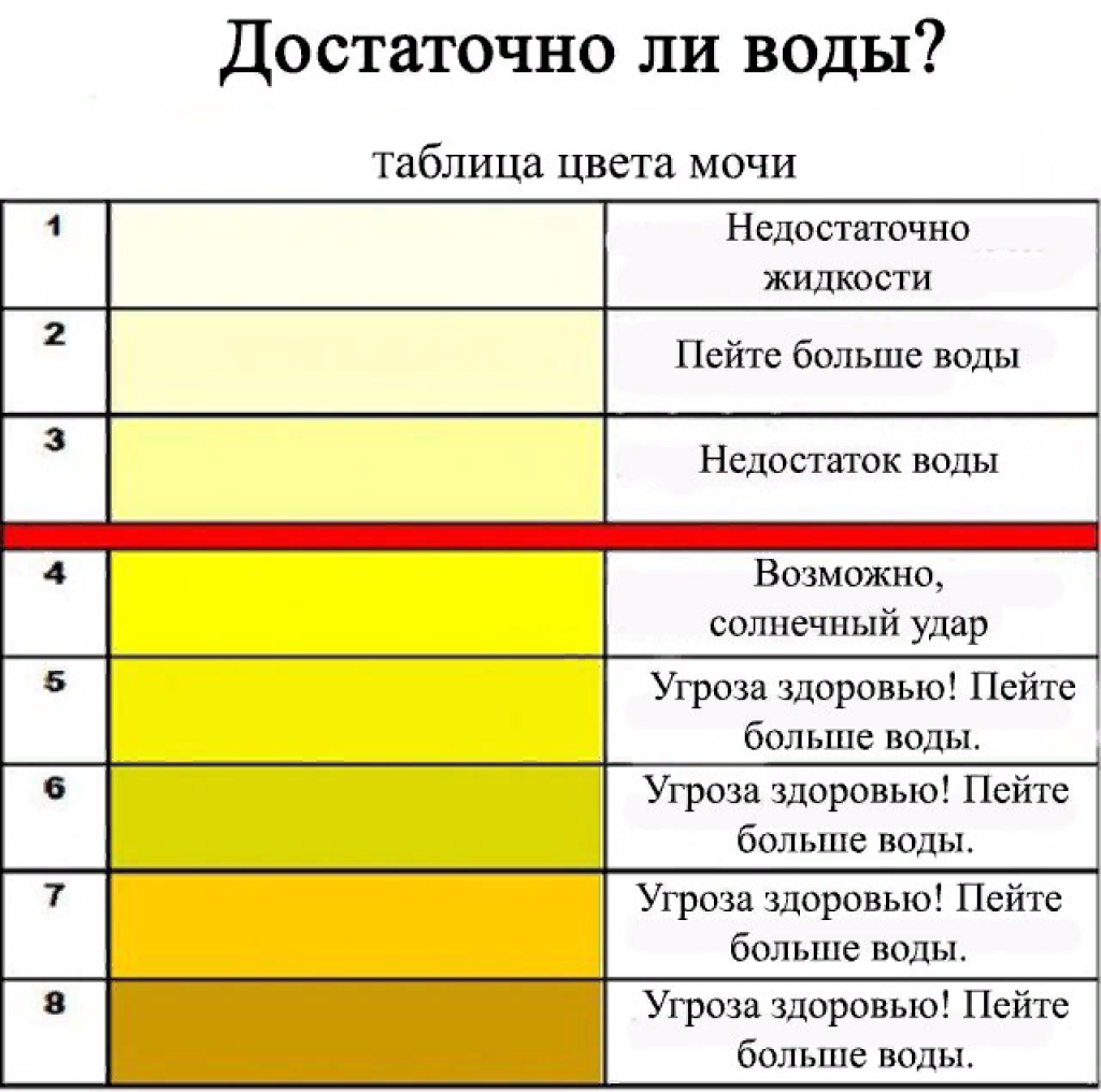 Цвет мочи при беременности