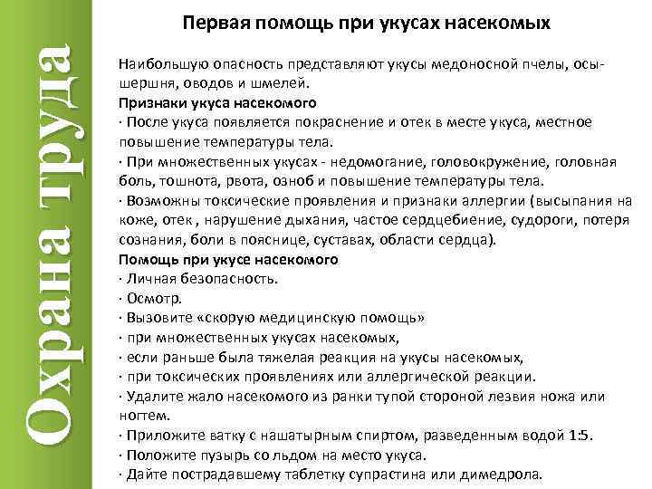 Укус пчелы: первая помощь, лечение народными средствами