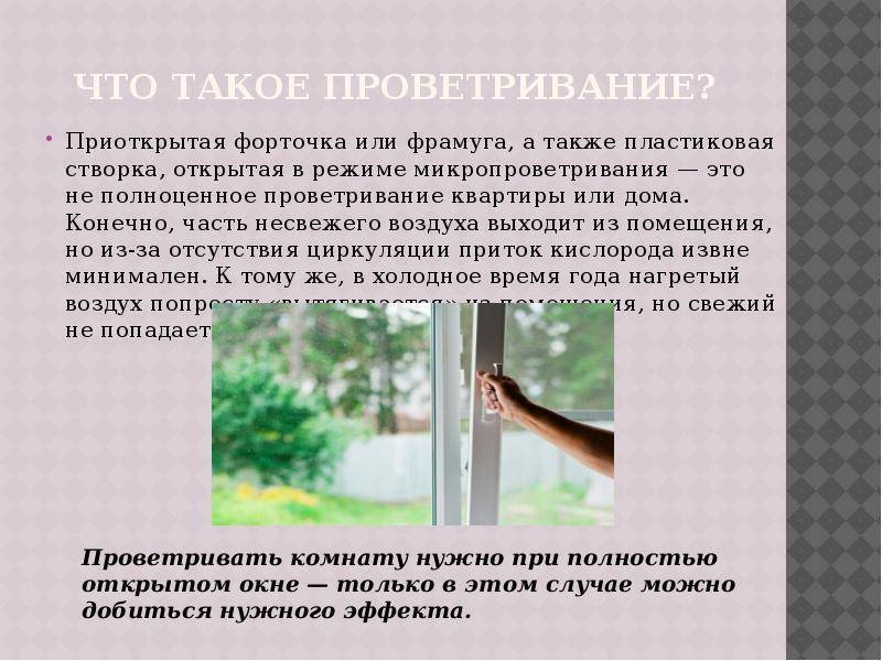 Вопрос доктору Комаровскому: “Нужно ли проветривать и увлажнять воздух в частном доме?”
