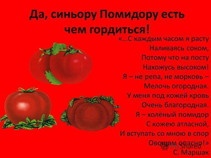 Помидоры ребенку - когда давать овощ детям без последствий