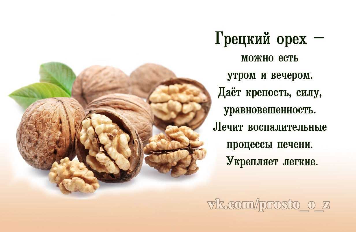 Полезны ли грецкие орехи для беременных