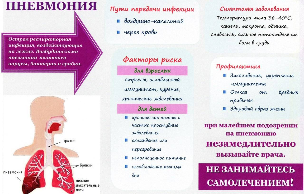 Сестринский процесс при острой пневмонии у детей
