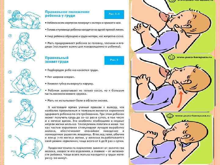 Смешанное вскармливание новорожденного схема кормления новорожденного