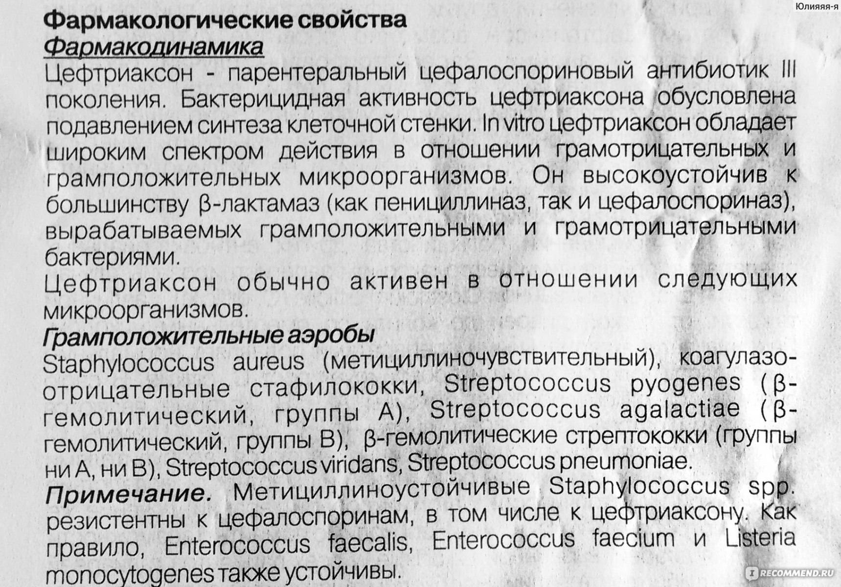 Можно ли ампулы пить а не колоть. Антибиотик для внутримышечного введения цефтриаксона. Цефтриаксон нежелательные эффекты. Цефтриаксон характеристика препарата. Чем разводят цефтриаксон внутримышечно.