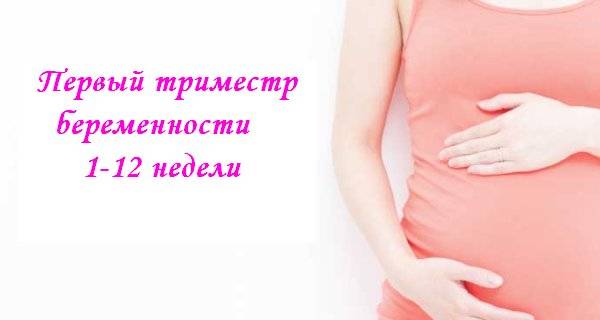Второй и третий триместры: инструкция для будущей мамы - parents.ru