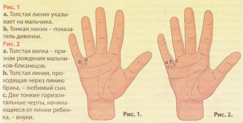 Тест: сколько у меня будет детей. сколько у вас детей - ресницамания
