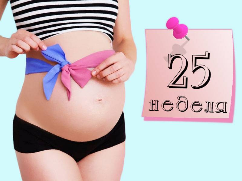 20 неделя беременности