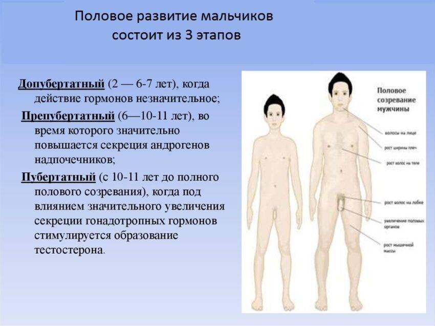 Признаки полового созревания у девочек: половое воспитание, нормы, задержки и отклонения