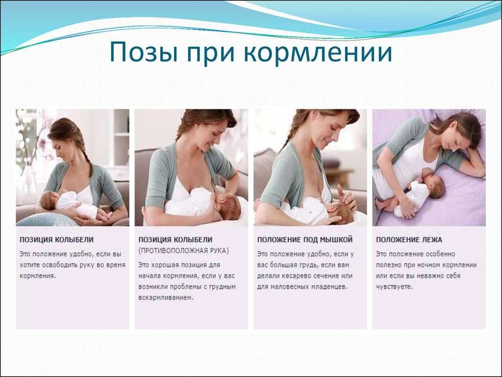 Основы грудного вскармливания