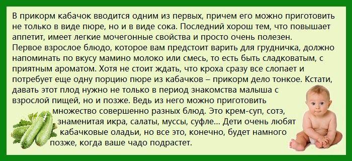 Можно кормящей кабачки. Первый прикорм кабачок. Первый прикорм ребенка. Как приготовить кабачки для первого прикорма ребенку 5 месяцев. Кабачок для первого прикорма 4 месяца.