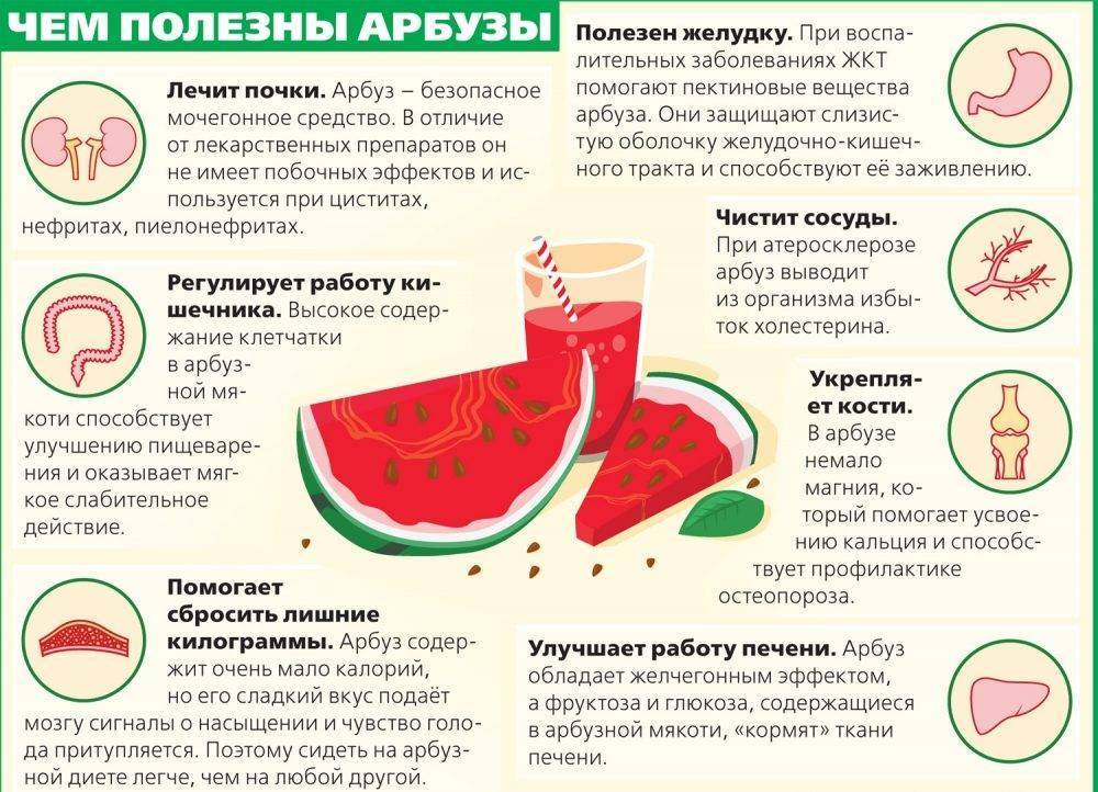 Можно ли арбуз при грудном вскармливании? почему и когда арбуз есть не стоит?