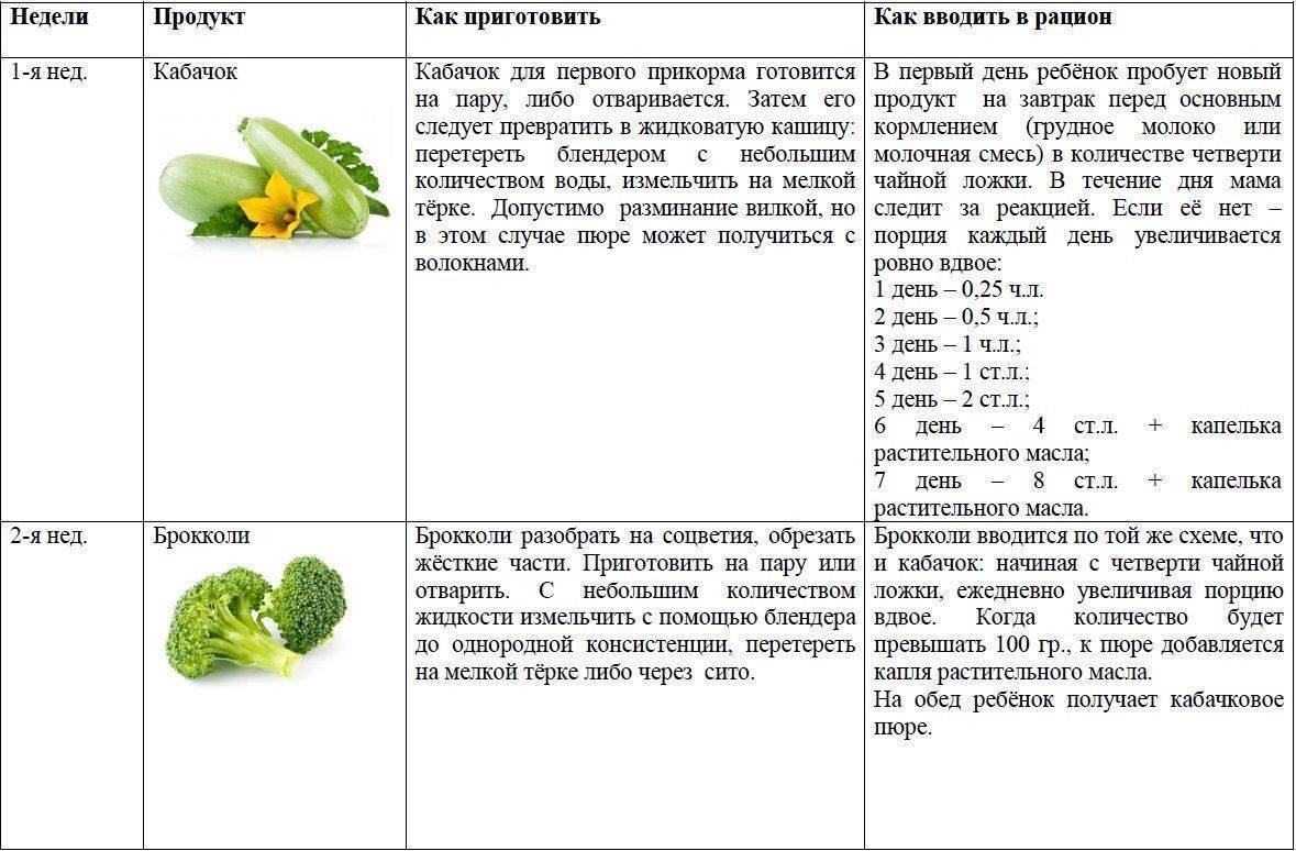 Можно ли кушать тушеные кабачки при грудном вскармливании