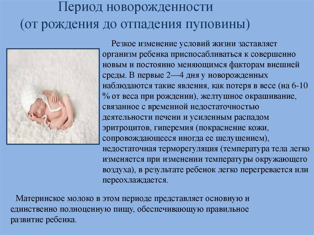 Неонатальный период: 17 особенностей новорожденного, правила ухода