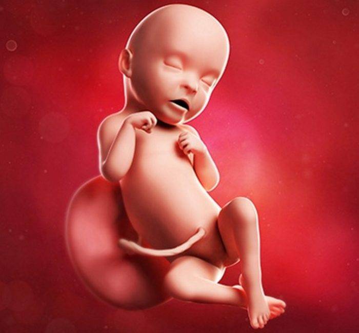 31 неделя беременности: ощущения, что происходит, узи