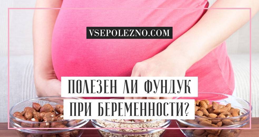Польза и вред фундука при беременности. как есть фундук во время беременности — беременность. беременность по неделям.