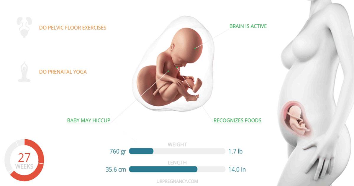 26 неделя беременности: что происходит с ребенком, вес, развитие и шевеления плода, выделения, фото узи, беременность двойней / mama66.ru