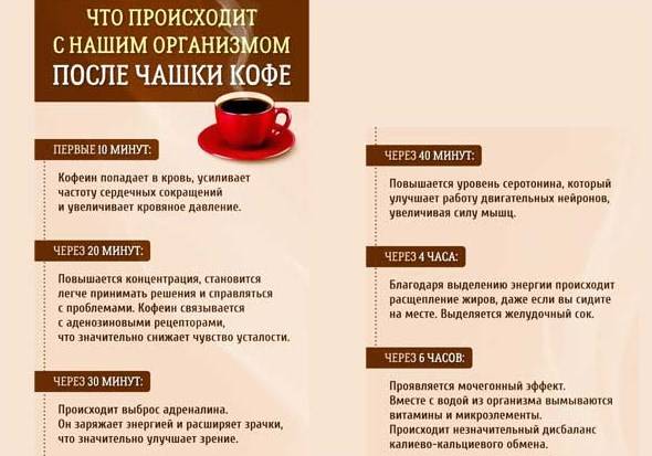 Кофе при грудном вскармливании: можно ли кормящей маме, последствия, альтернатива кофе