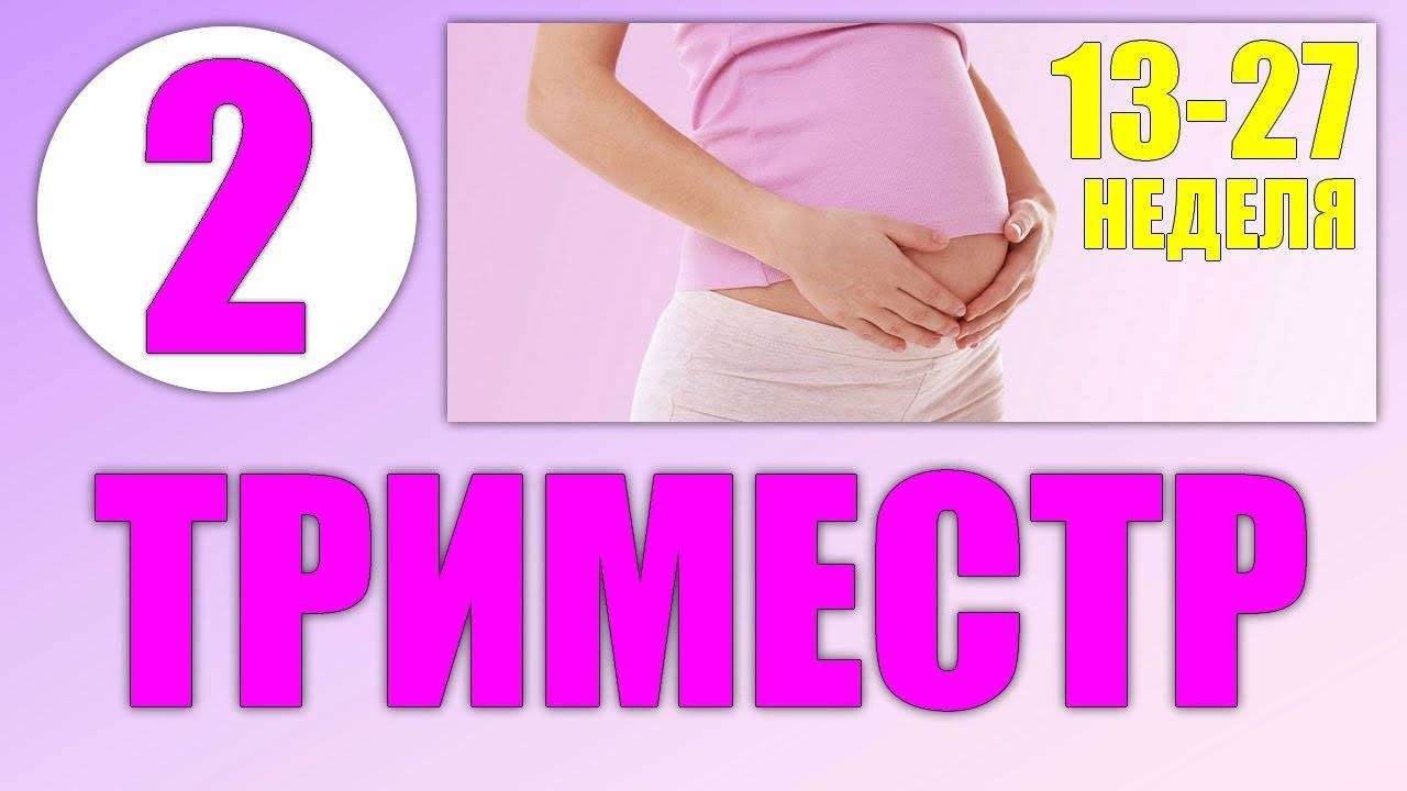 Второй триместр беременности: размер и вес плода, состояние беременной, необходимые анализы
