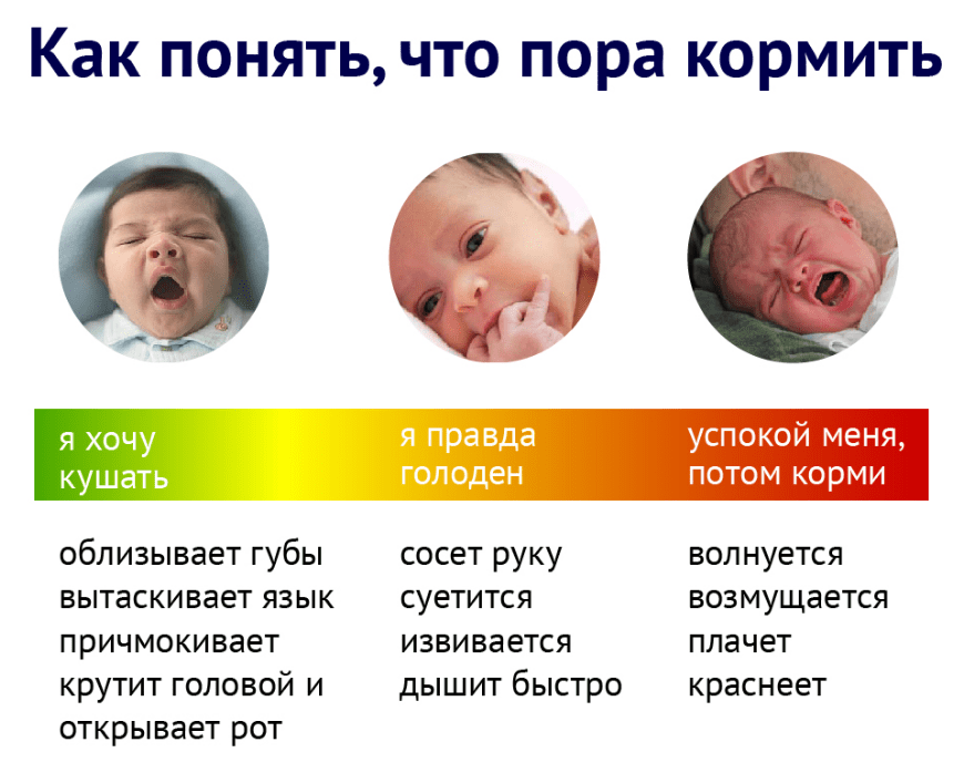 Ребенок не наедается грудным молоком