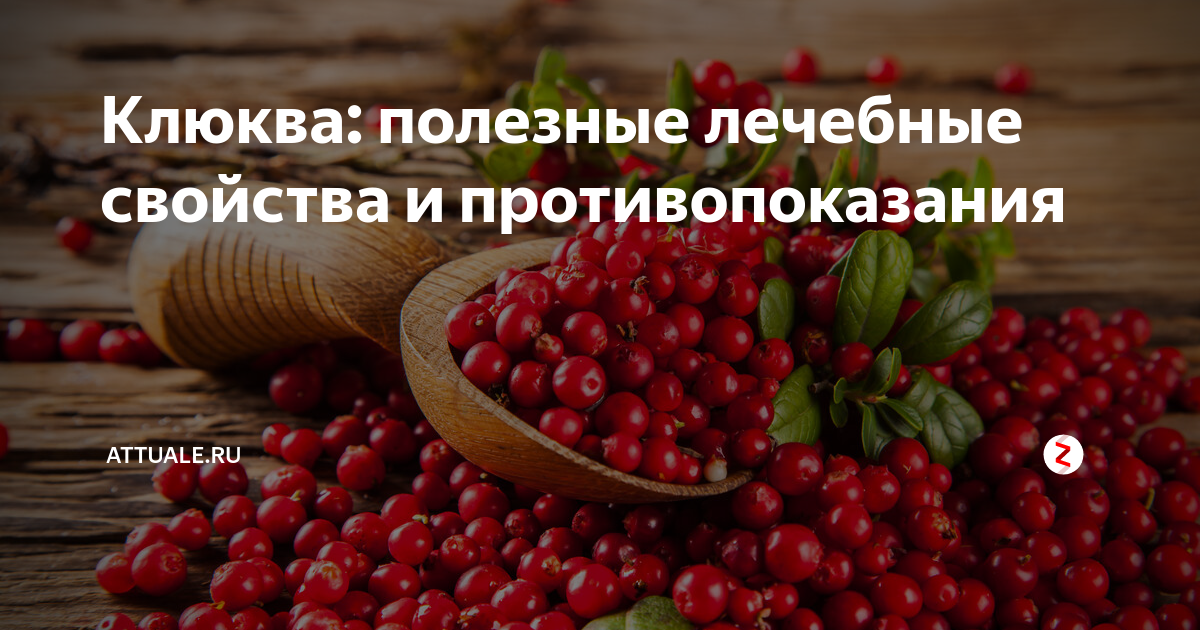 Можно ли клюкву при грудном вскармливании, как принимать ягоды, рецепты для кормящих мам