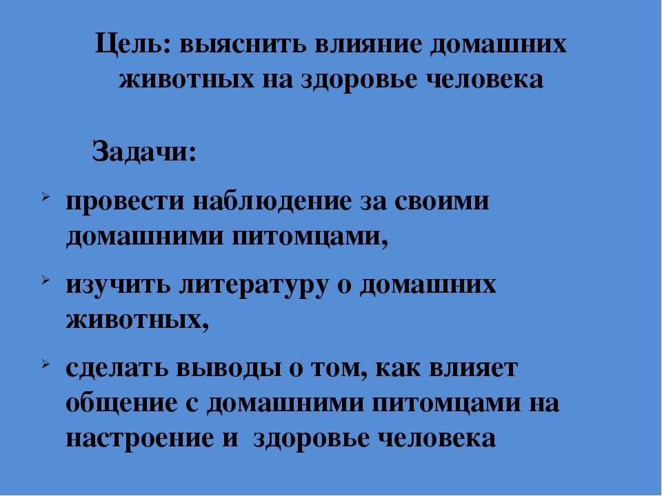 Влияние домашних животных на развитие ребенка