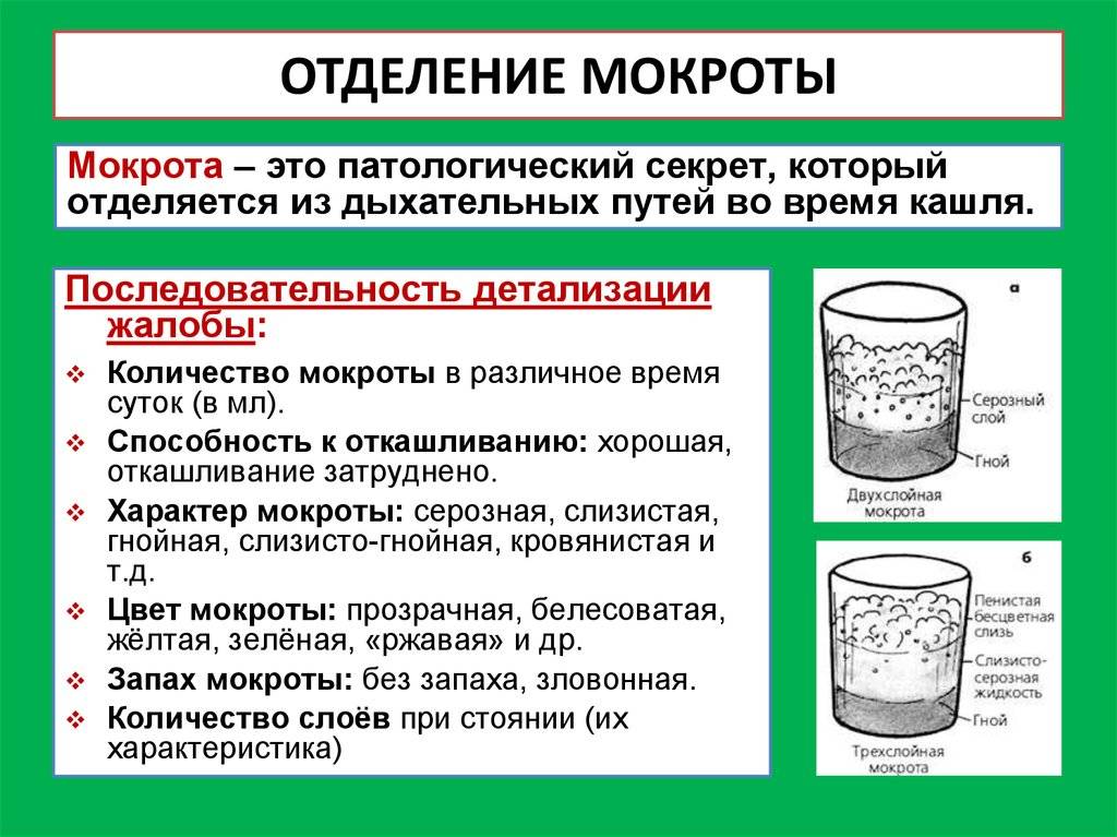 Как помочь грудничку откашлять мокроту: мокрота у грудничка — как вывести и помочь откашлять? — талантика — город профессий — главная