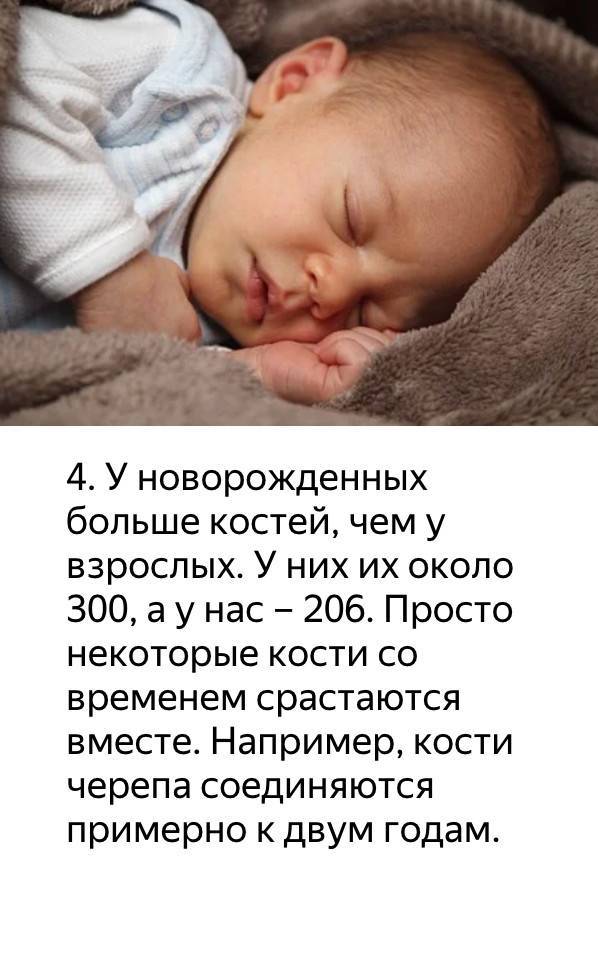 ➤ сколько спят новорожденные