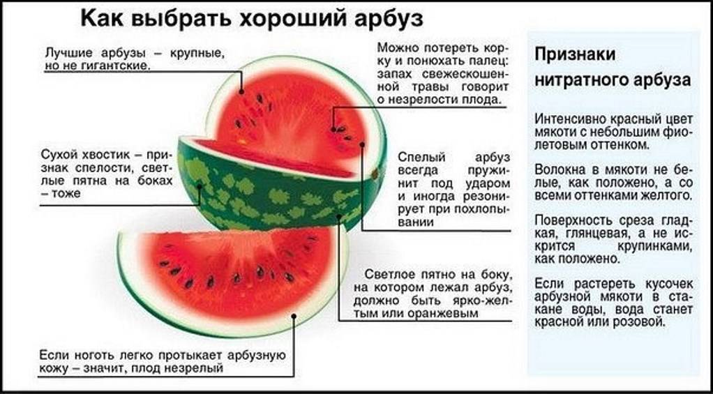 Можно ли дыню при грудном вскармливании новорожденного?