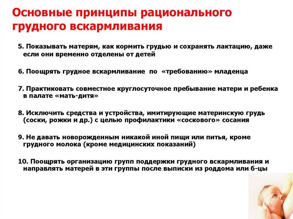 Основы грудного вскармливания