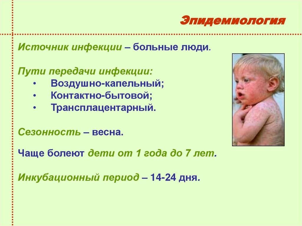 Краснуха у детей:  возбудитель, пути передачи, симптомы краснухи у детей, лечение и профилактика краснухи. 