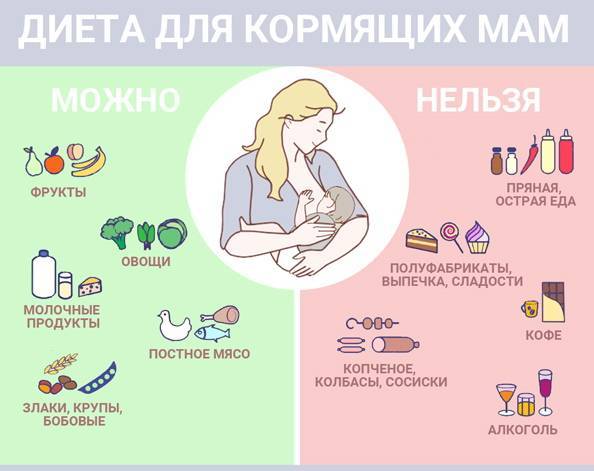 Что из сладкого можно есть при грудном вскармливании, когда и как?