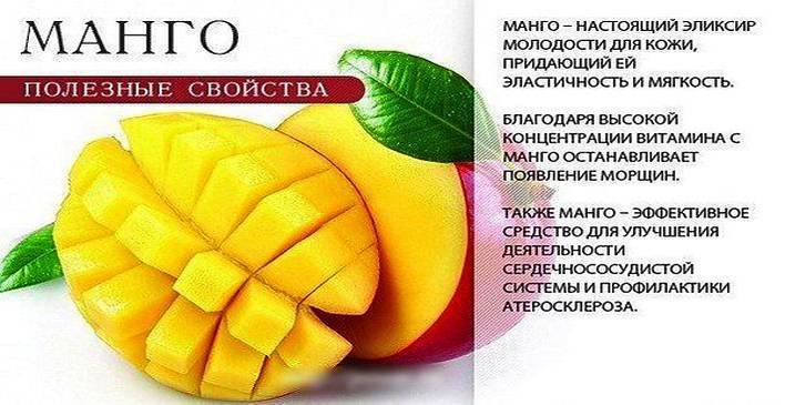 Как есть правильно фрукт манго, как чистить, польза и вред для организма