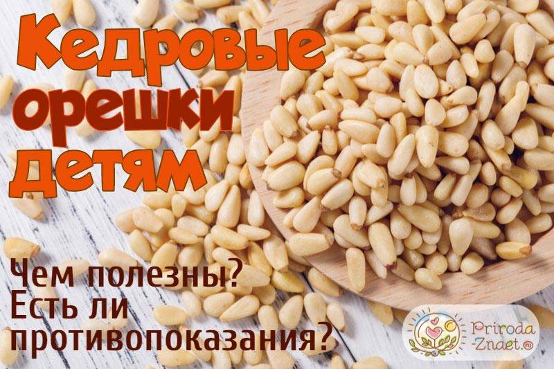 С какого возраста можно орехи детям
