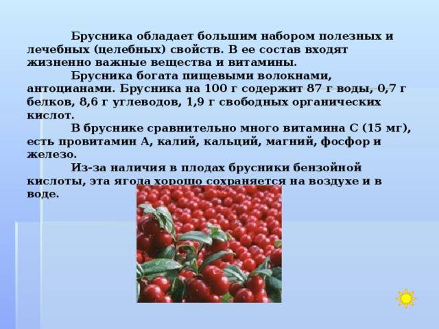 Брусника обладает. Брусника витамины. Брусника полезные свойства. Брусника для чего полезна. Чем полезна брусника.