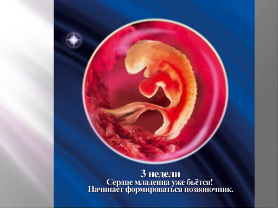 3 недели после эко - первые признаки беременности на ранних стадиях