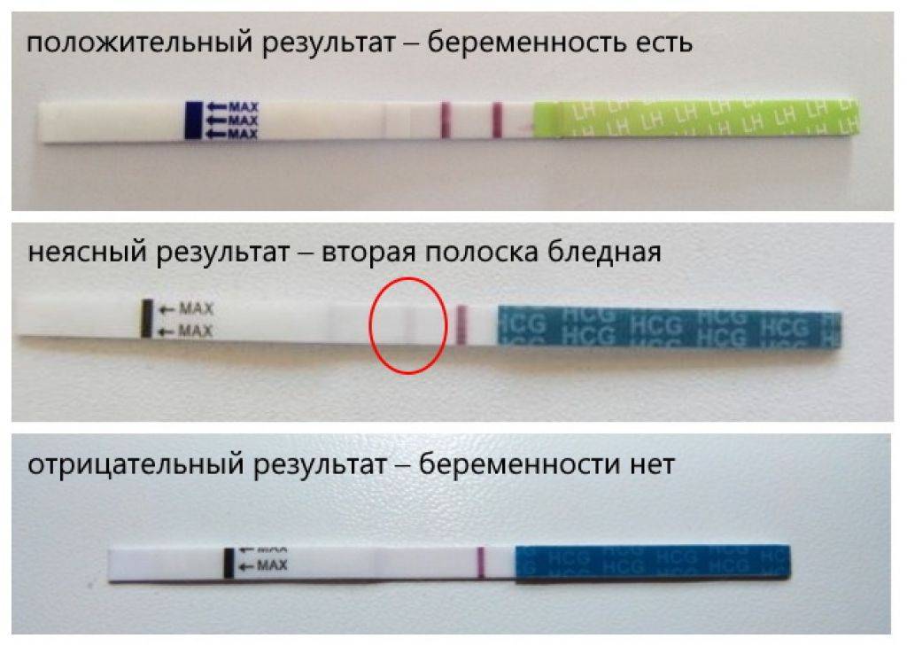 Как пользоваться тест на беременность картинки как