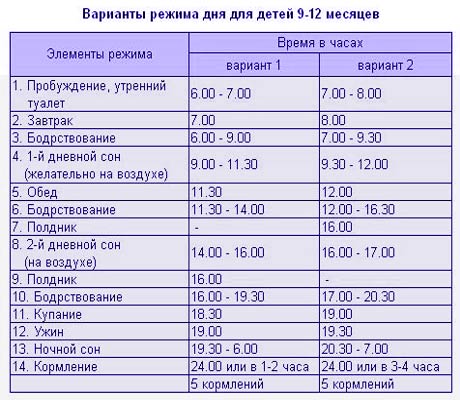 Развития ребенка в 11 месяцев: ключевые особенности